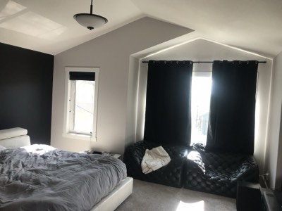 Navy blue accent wall in a vaulted ceiling bedroom with modern decor