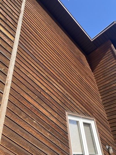 Cedar siding with fresh protective stain applied by professional painters