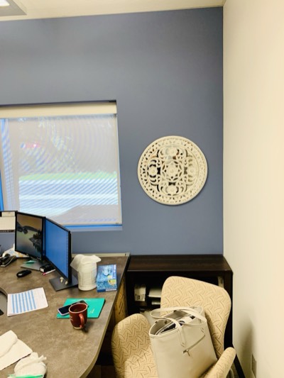 Office with blue-grey accent wall providing a professional and calming atmosphere