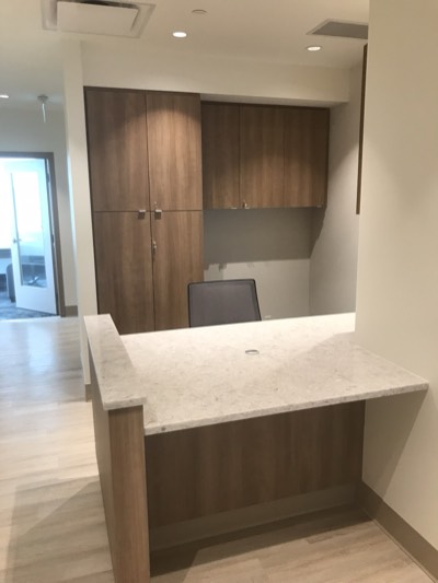 Office reception area with walnut accent wall and clean painted surfaces